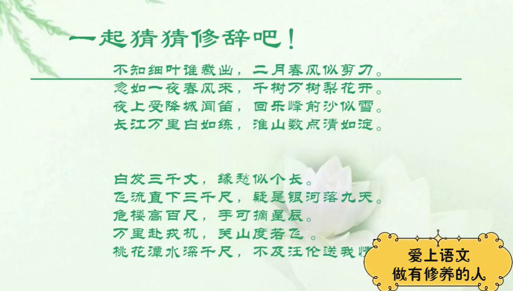 诸葛学堂 小学四年级大语文精选录播 全年113讲完结  百度网盘下载