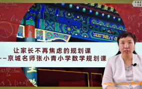 京城名师张小青小学数学规划课 43讲完结百度网盘下载