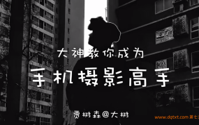 【贾树森】明星御用大咖教你手机摄影高手（40课）百度网盘下载
