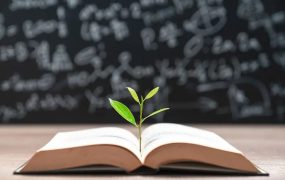 数学开窍的三个黄金期