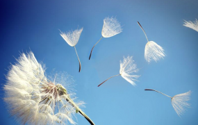 数学 高考状元班提分笔记 – 百度网盘下载