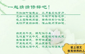 诸葛学堂 小学四年级大语文精选录播 全年113讲完结