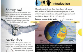 最强DK(Dorling Kindersley)百科全书 560本精美英文PDF绘本 百度网盘下载